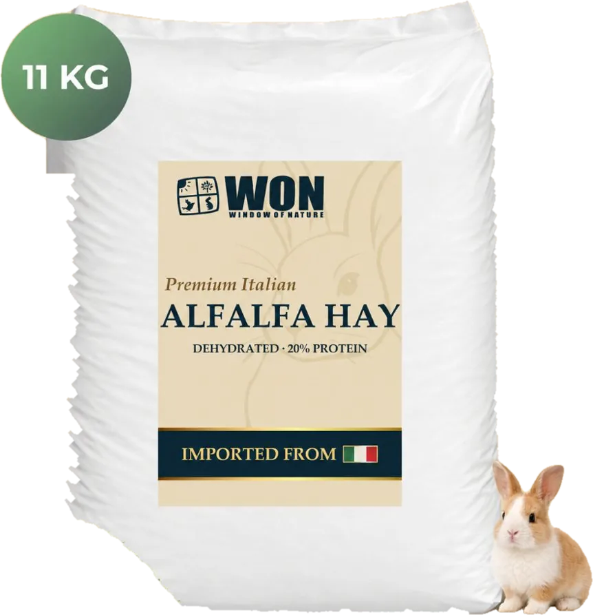Alfalfa Hay Italia